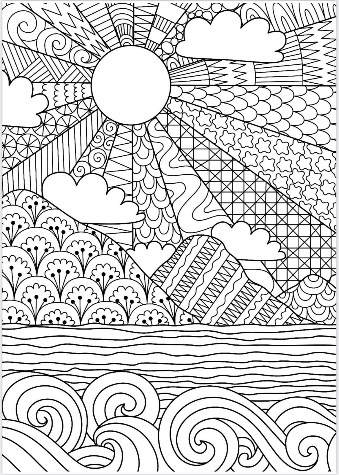 Adult coloring book