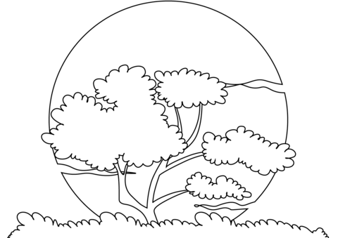 Sunset sun coloring page free printable coloring pages