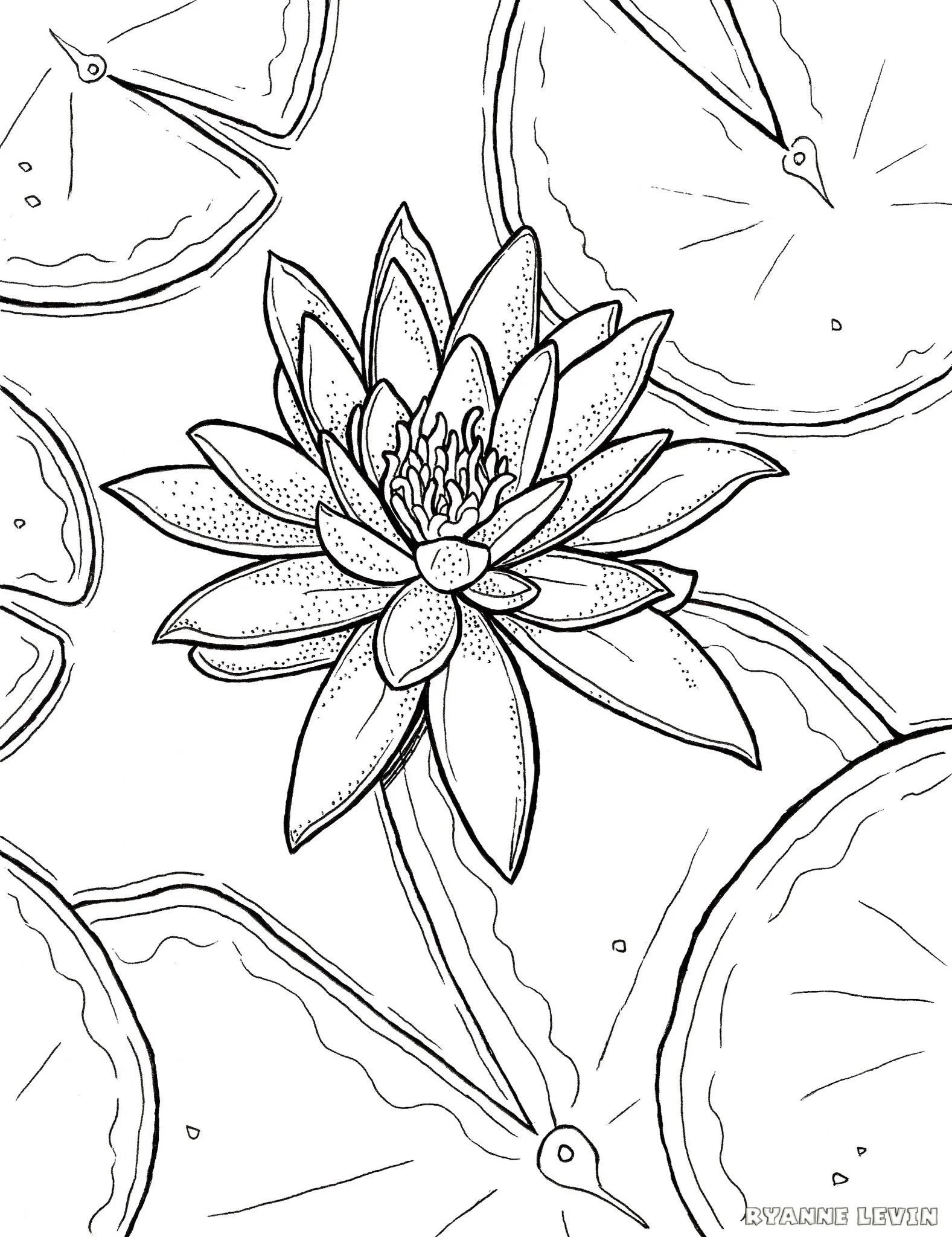 Free printable water lily coloring page download â ryanne levin