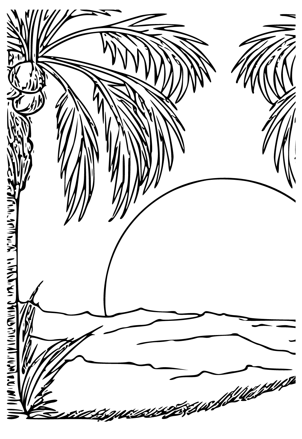 Free printable sunset coconuts coloring page for adults and kids