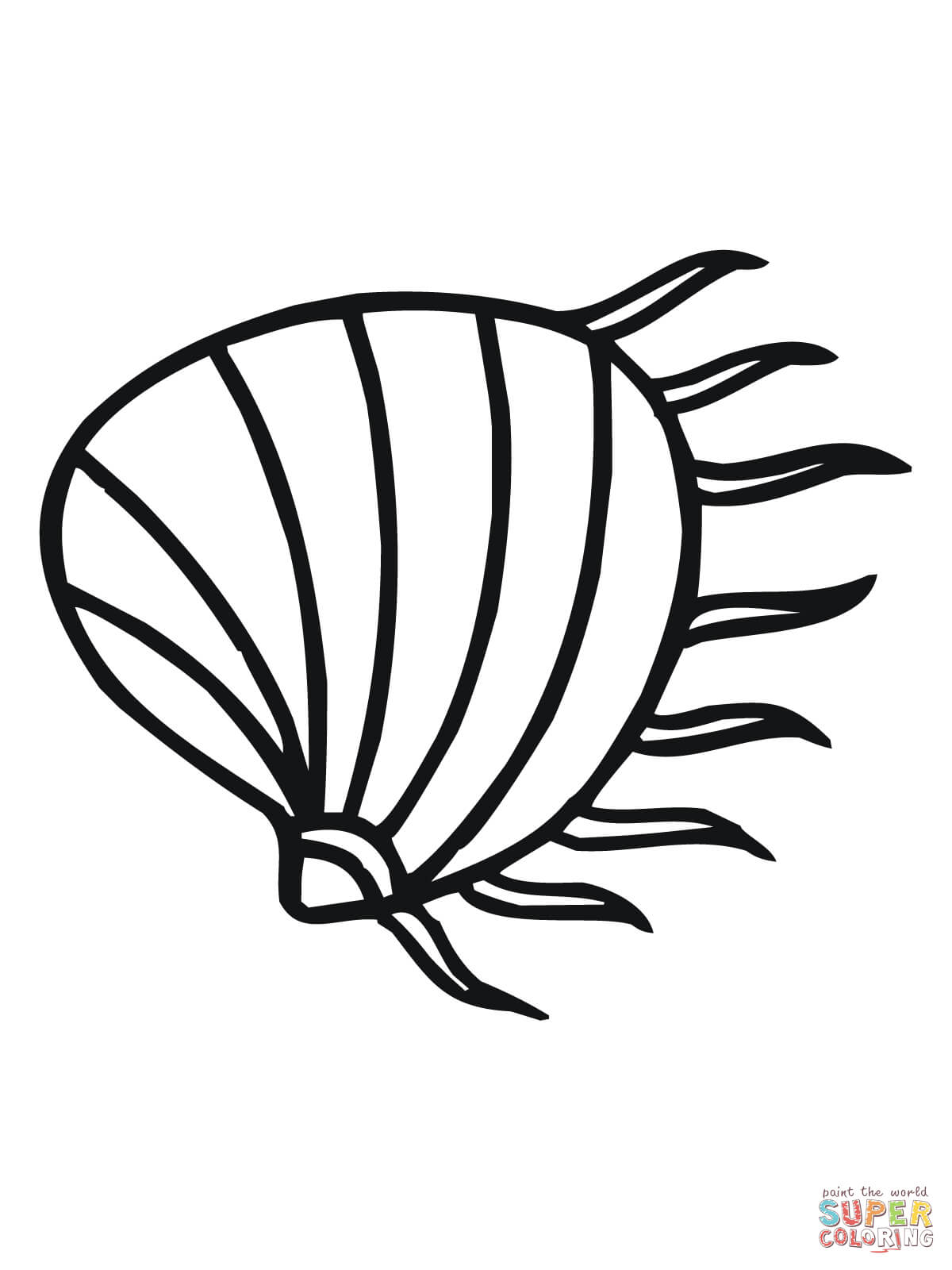 Clam coloring page free printable coloring pages