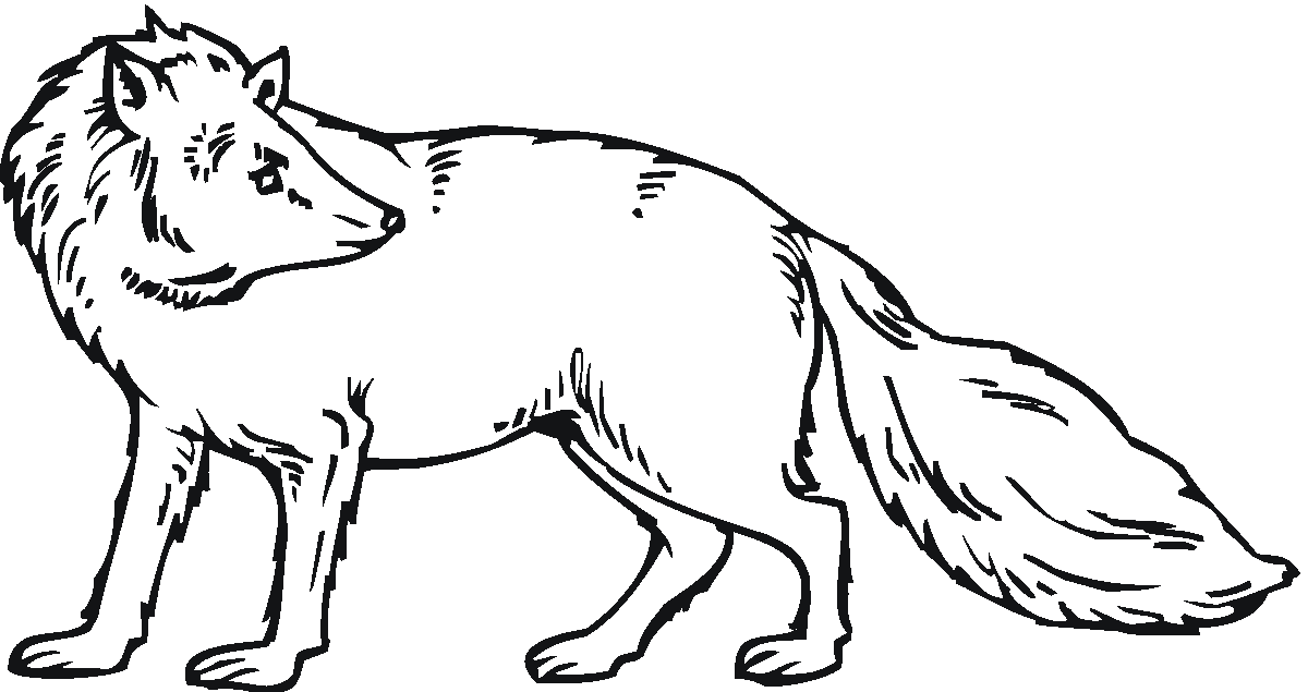 Free fox coloring pages