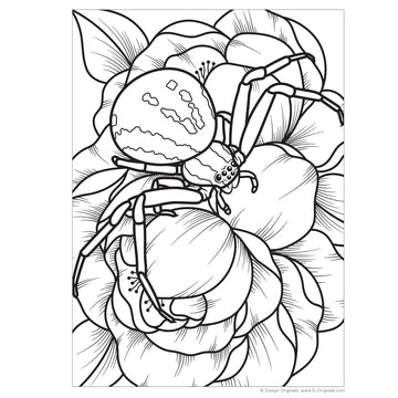 Super cool bugs and spiders colouring book â simply green baby