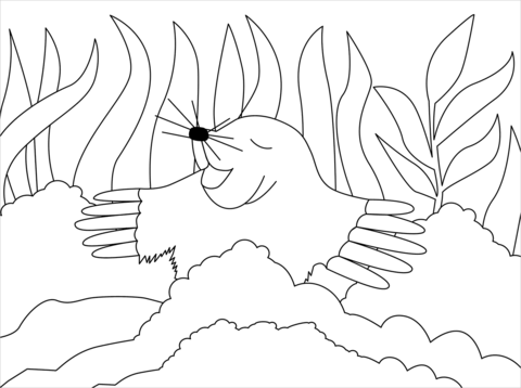 Mole coloring page free printable coloring pages