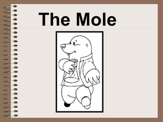 How big is a mole ppt