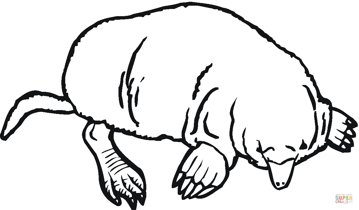 Mole coloring page free printable coloring pages