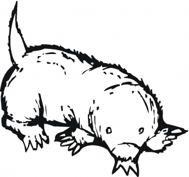 Mole coloring page super coloring