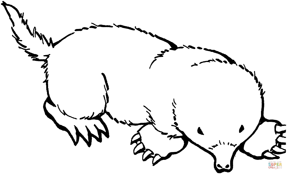 Mole coloring page free printable coloring pages