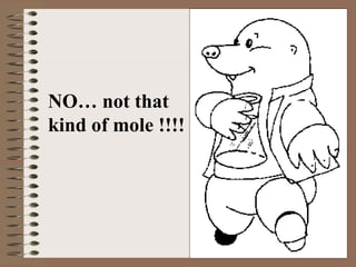 How big is a mole ppt