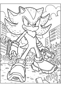 Sonic the hedgehog