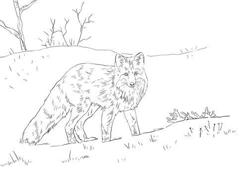 Red fox in snow coloring page free printable coloring pages