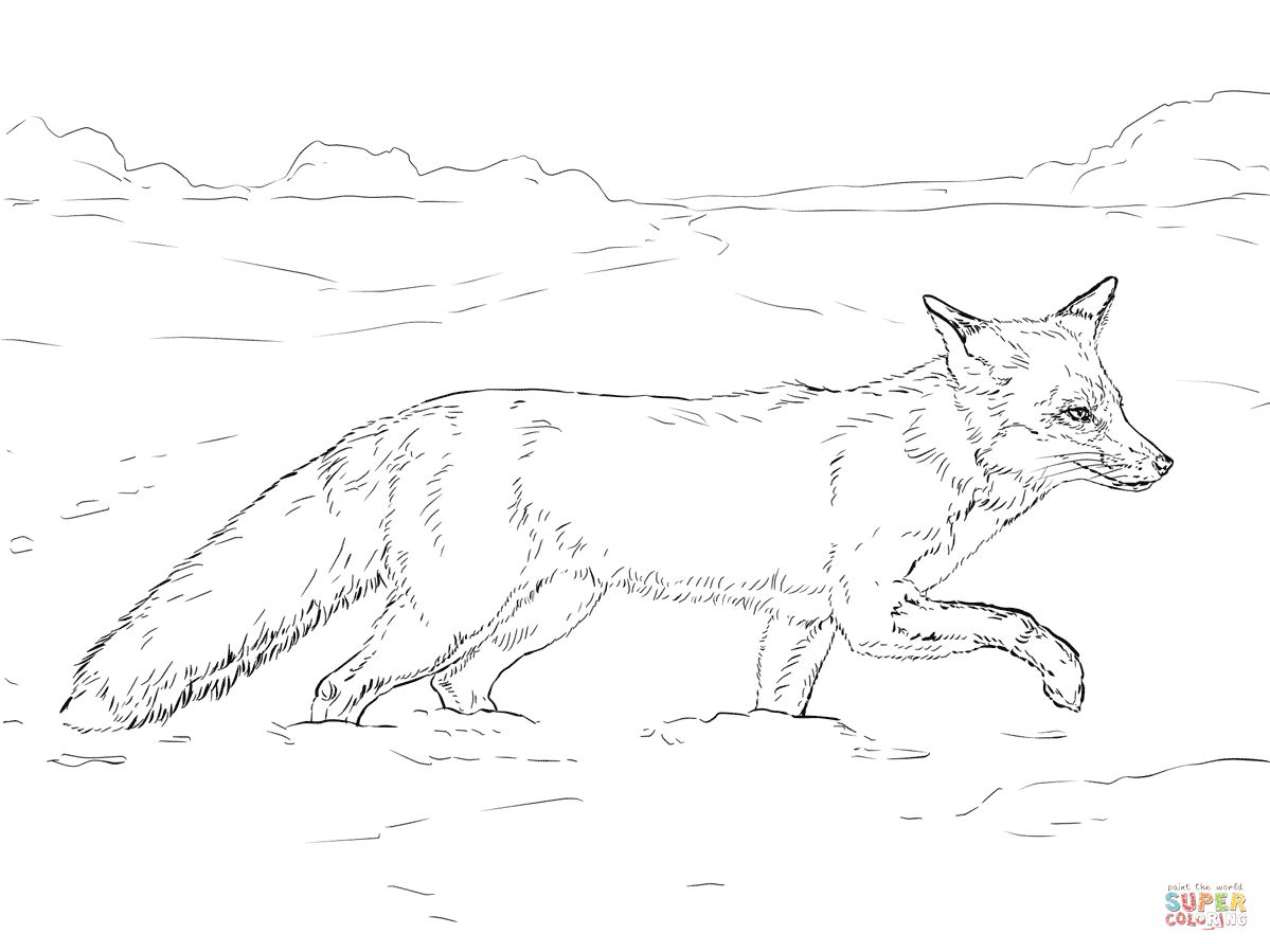 Red fox walking on snow coloring page free printable coloring pages