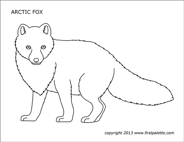Arctic fox free printable templates coloring pages