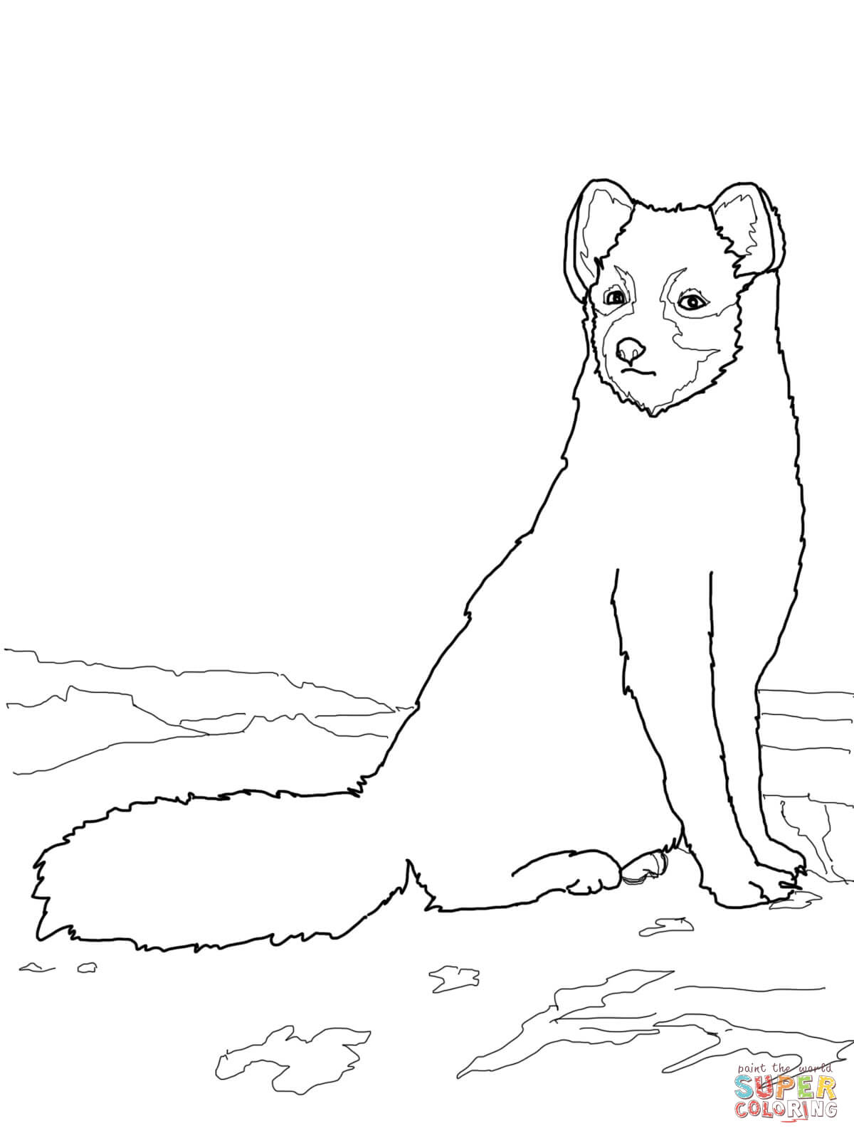 Sitting arctic fox coloring page free printable coloring pages