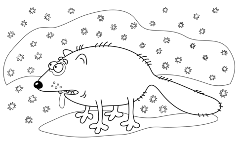Arctic fox coloring page free printable coloring pages