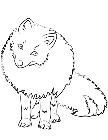 Cute arctic fox coloring page free printable coloring pages