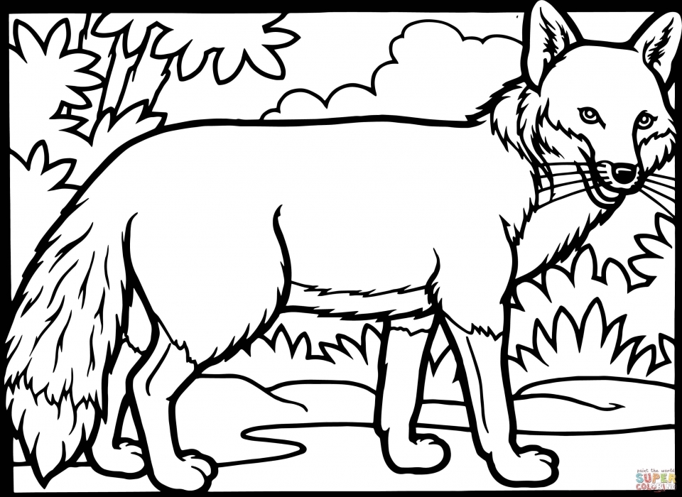 Free printable fox coloring pages