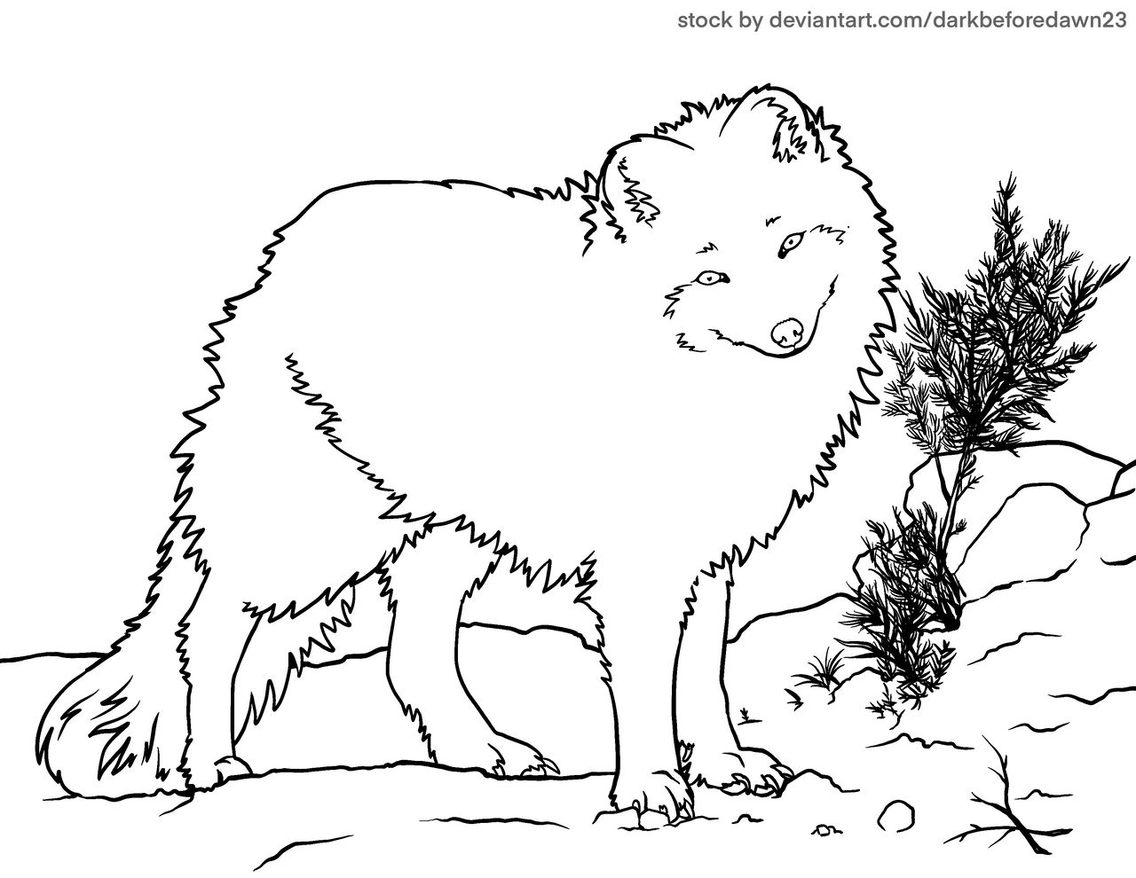 Snow fox coloring page by m