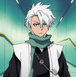 Toshiro hitsugaya super battle saga wiki