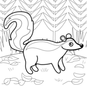 Skunk coloring pages free coloring pages