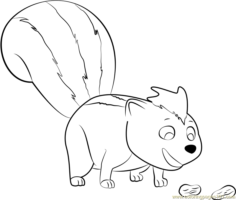 Skunk coloring page for kids