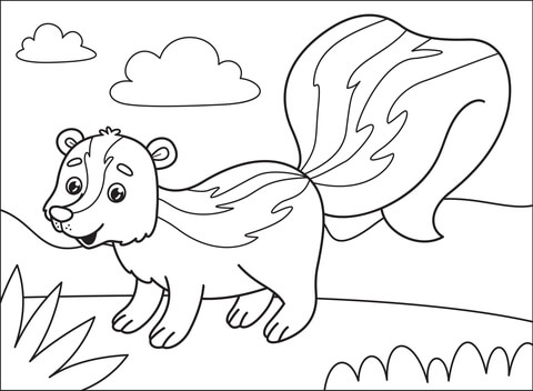 Skunk coloring page free printable coloring pages