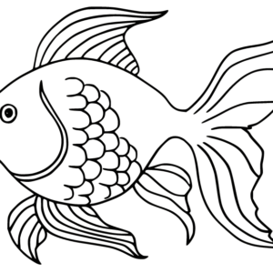 Goldfish coloring pages printable for free download