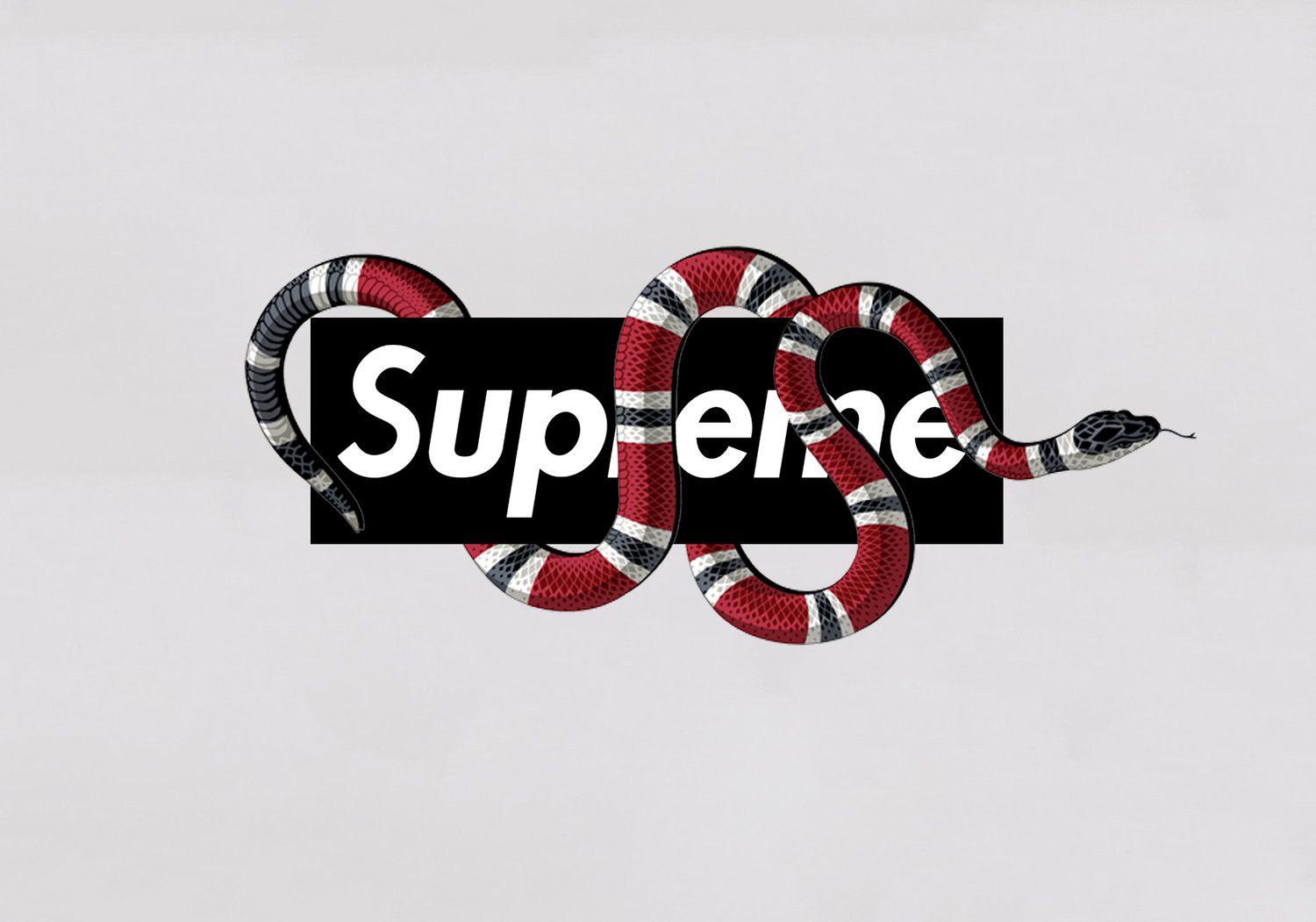 Téléchargement de l'application Supreme & Gucci Wallpaper N 2023