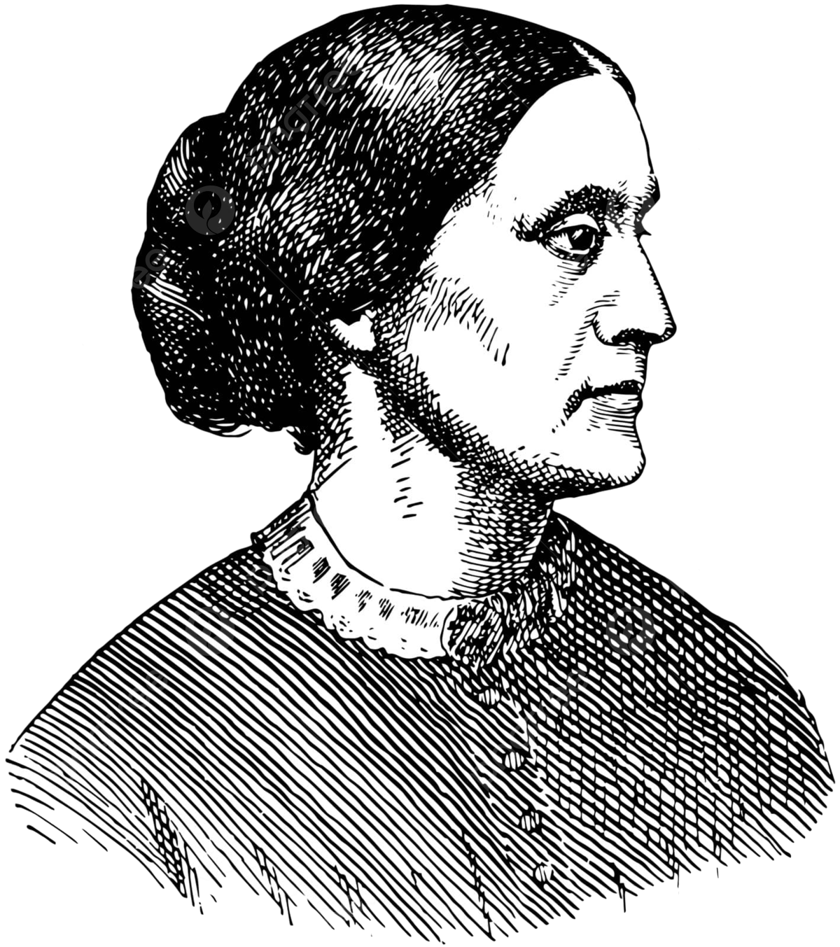 Susan b anthonyvintage illustration engraved reformer suffrage vector engraved reformer suffrage png and vector with transparent background for free download