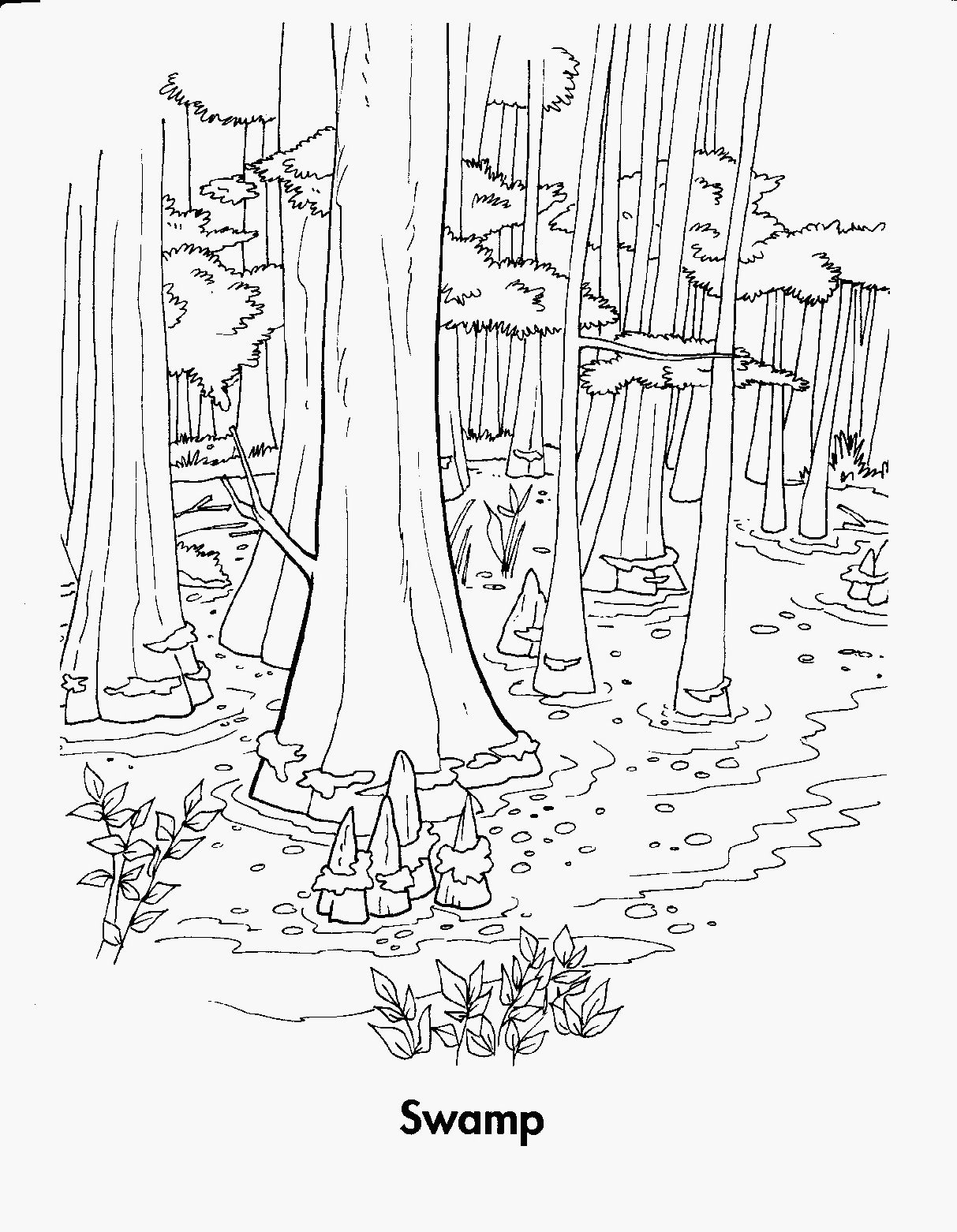 Wetland animals coloring page animal coloring pages coloring pages coloring pictures