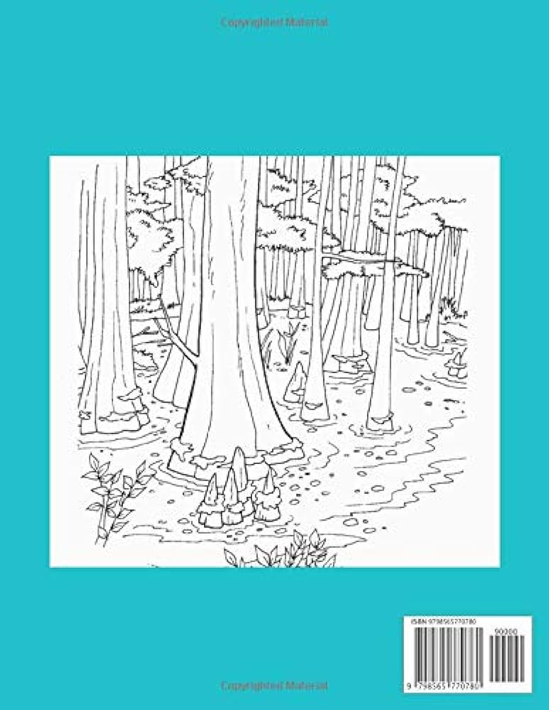 Swampland coloring book swamp coloring for kids and preschool fun and cool draws with cute animals in the swamp aka muz books