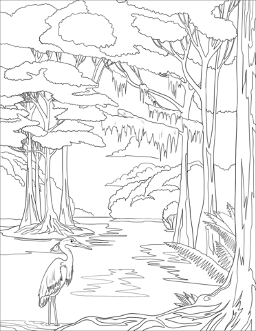 Everglades national park coloring page free printable coloring pages