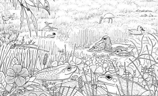 Free froggy colouring book to download paperbark writer