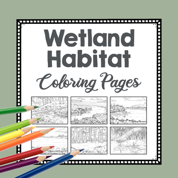 Realistic wetlands habitat coloring pages swamp nature biome drawing