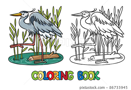 Funny heron in the swamp coloring book series