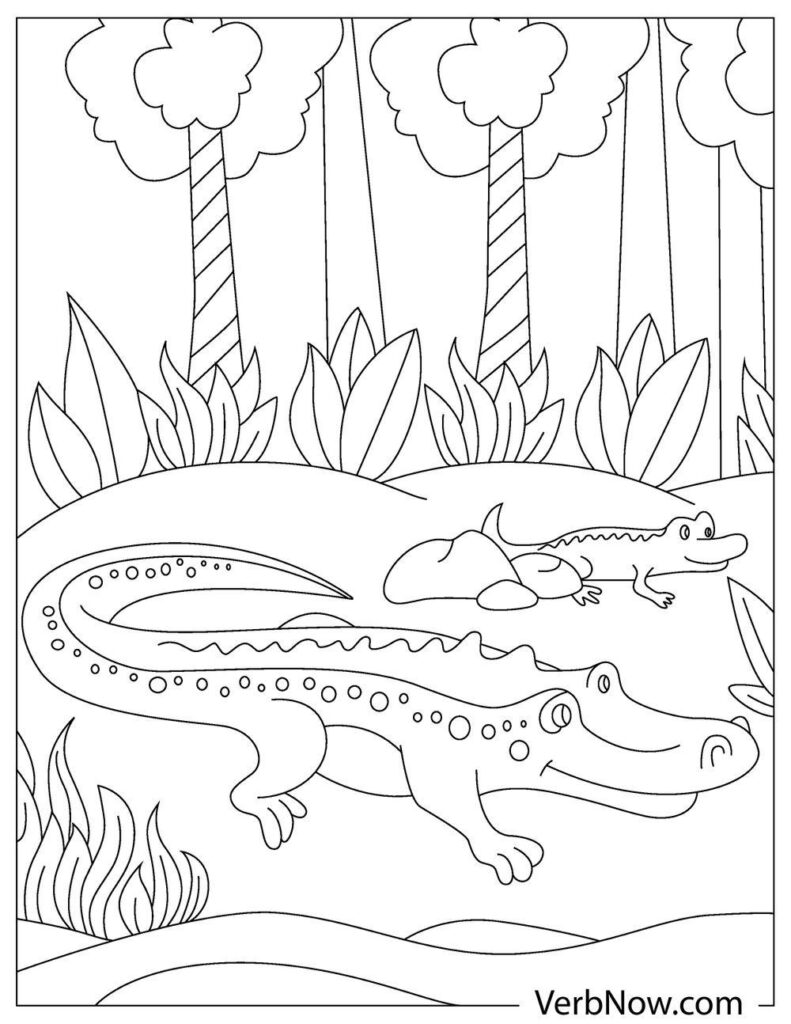 Free alligator coloring pages book for download printable pdf