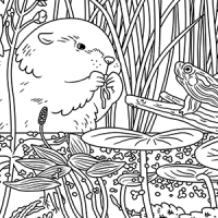 Coloring sheets â taaja tucker