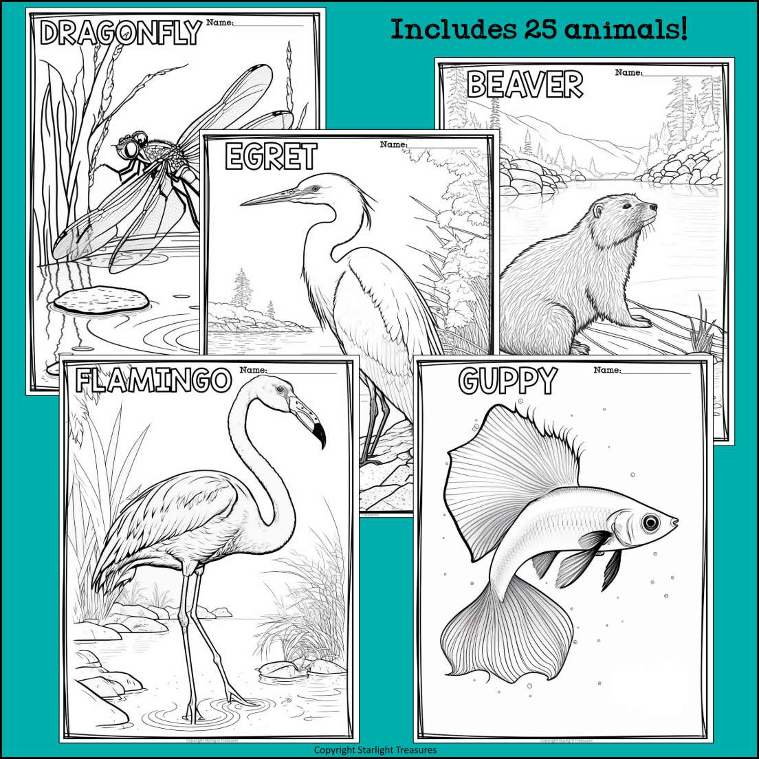 Wetland animals research posters coloring pages