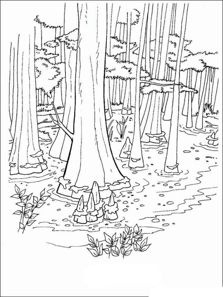 Swamp coloring pages