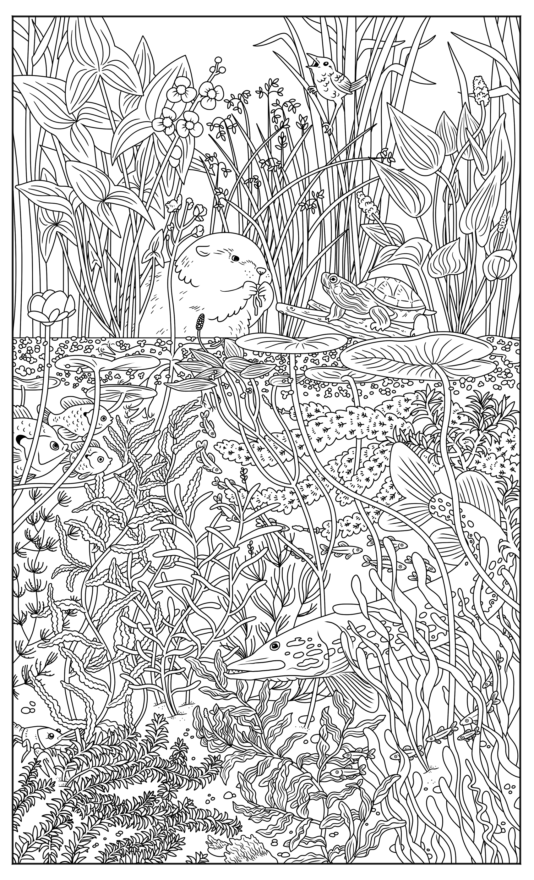 Coloring sheets â taaja tucker