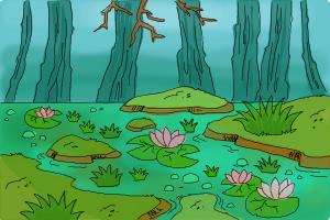 How to draw a swamp