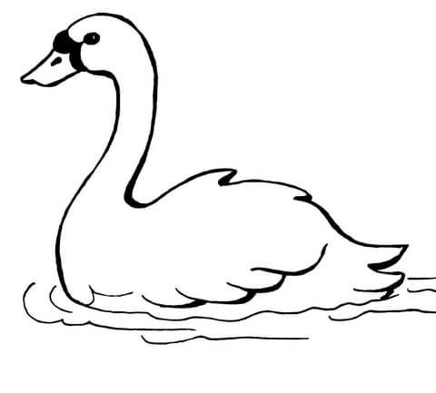 Swan swimming coloring page free printable coloring pages animal coloring pages free printable coloring pages free printable coloring