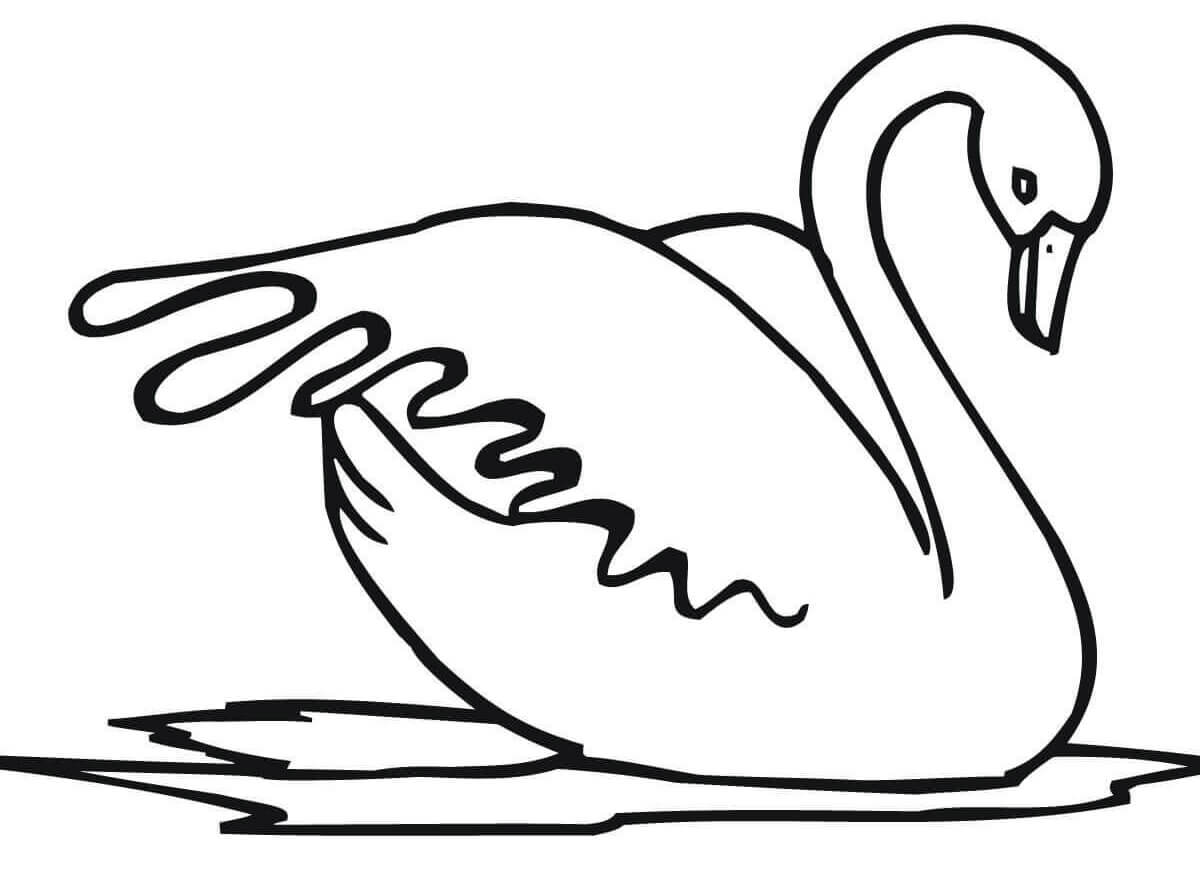 Drawing swan coloring page