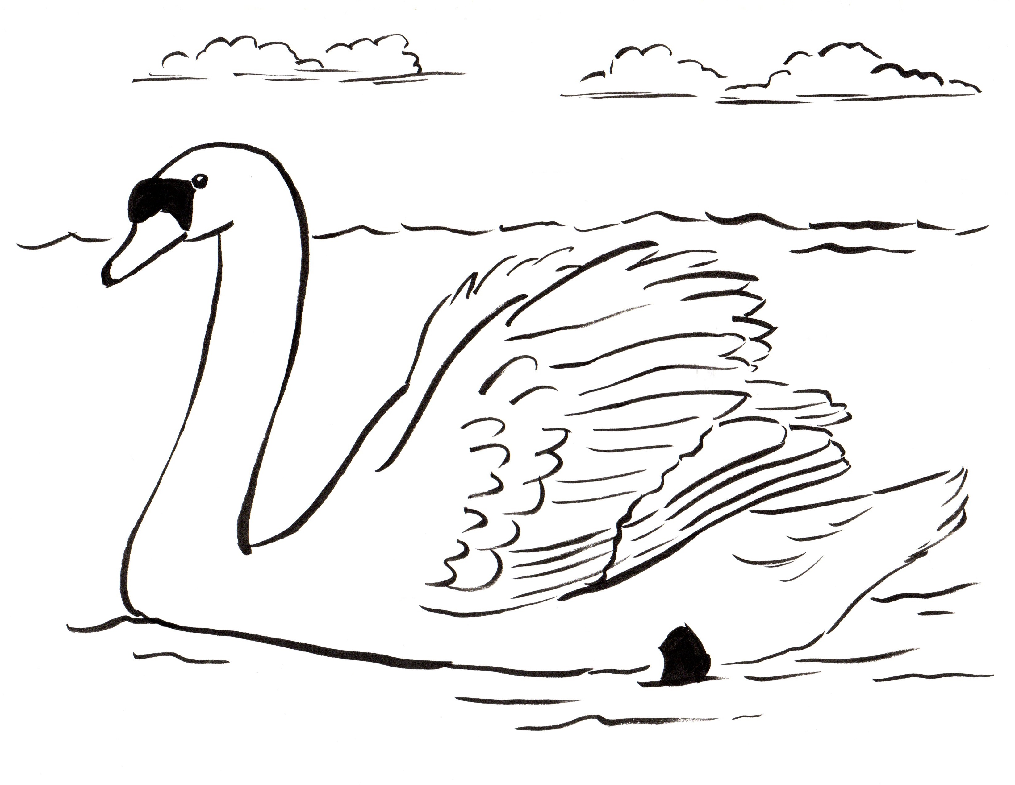 Swan coloring page