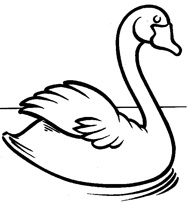 Swan coloring page