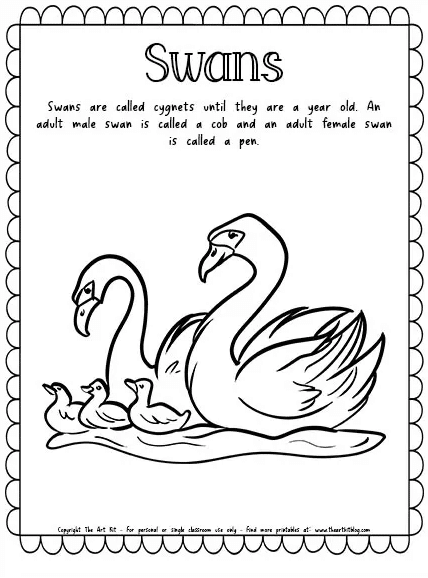 Swan coloring page free homeschool deals