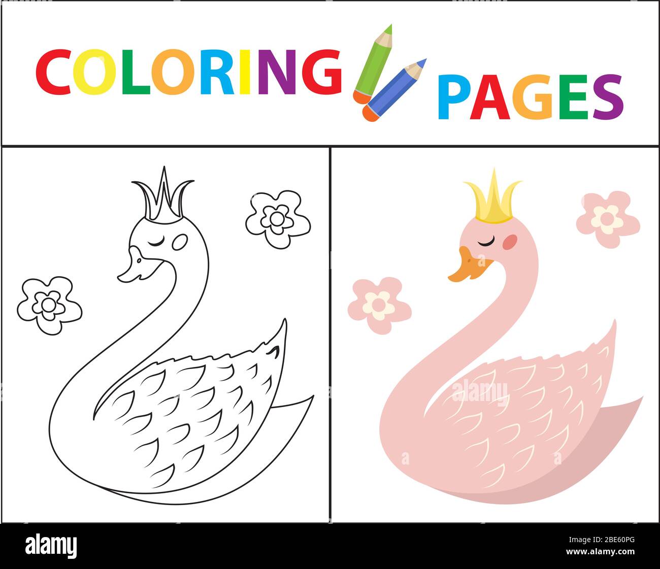 Coloring book page for kids cute swan sketch outline and color version childrens education illustration stock photo