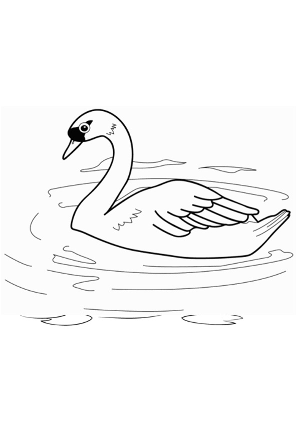 Coloring pages swan coloring pages images for kids