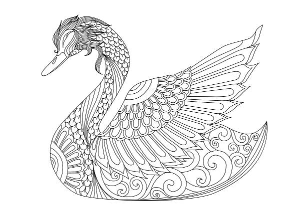 Swan coloring page stock illustration