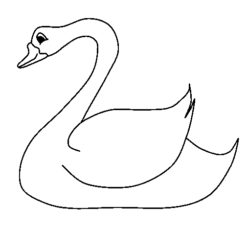 Swan coloring page